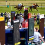Newsboy's NAP Tilani Aims for Hat-Trick at Bath on Friday