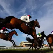 Newsboy's Tuesday Horse Racing Tips: Hidden Fortune Nap at Hereford