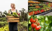 Organic Produce Prices Surge 59% Above Conventional, Widening Gap