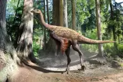 Ostrich-Like Dinosaur Tail Found on Canadian Island