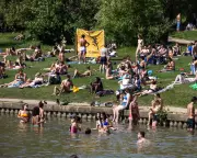 Outrage as Swimmers Disturb Nesting Birds on Hampstead Heath