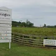 Parasite Outbreak at Edinburgh Farm Leaves Six Ill, Including Children