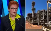 Pauline Hanson Unveils Gas Policy with Sovereign Wealth Fund Plan