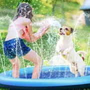 Pet Sprinkler Under £20: Perfect Heatwave Alternative to Paddling Pools