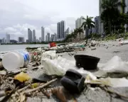 Plastic Food and Drink Packaging Tops Global Coastal Litter List