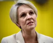 Plibersek Slams Ben-Gvir 'Disgraceful' as Greens Demand Stronger Response