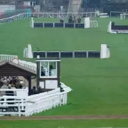 Plumpton Race Meeting Cancelled Due to Equine Flu and EHV-4 Outbreak