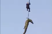 Police Airlift Massive Crocodile Suspected of Eating Man in South Africa