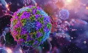 Polio Strain Detected in Perth Wastewater Raises Concerns in Australia