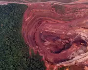 Rainforests near breaking point due to rising resource demands, report warns