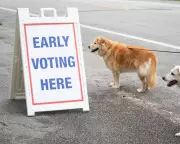 Ranked Choice Voting: A Fairer System for Democracy