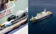 Rat-Borne Virus on Cruise Ship: WHO Traces Flight Passengers After Deaths