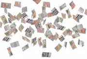 Rethinking Party Funding: Ending Donor Influence in Politics