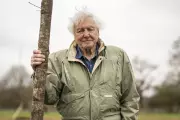 RHS Chelsea Flower Show to Honour Sir David Attenborough's 100 Years with Wildlife-Friendly Plants