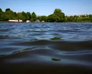 River Thames in London Gets First Official Bathing Spot