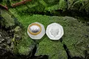 Royal Mint Unveils Lord of the Rings 50p Coin with Hidden Surprise