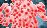 Salmonella Cases in England Hit Decade High, UKHSA Data Shows
