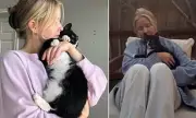 San Diego Cat Owner Mourns Pet Eaten by Coyotes After Sitter Left Door Open