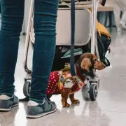 Savvy traveller shares genius hand luggage hack to double carry-on space