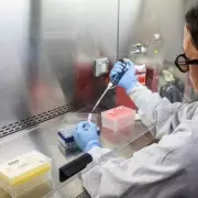 Scientists Race to Unravel Hantavirus Secrets After Cruise Ship Deaths