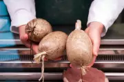 Scottish Butcher Urges US to Lift Haggis Ban Ahead of World Cup