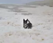 Sea Foam: Natural Phenomenon, Not Pollution, Along UK Coasts
