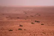 Search Underway for Two US Soldiers Missing in Morocco