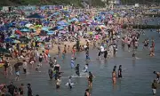 Seaside Council Issues 2,844 Parking Fines Over Bank Holiday Weekend