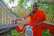 Senior Buddhist Monk in Sri Lanka Arrested for Alleged Rape of Minor