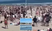 Senior Skip Day Stabbing Chaos at Rhode Island Beach Injures Three