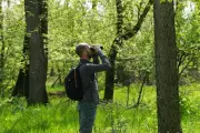 Serbian Bird-Watchers Use Crowdfunding to Preserve Woodland Haven