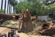 Severe Dust Storms and Lightning Kill at Least 96 in Northern India