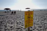 Sewage Crisis at California's Posh Beaches: Half-Year Closures Loom