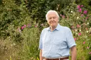 Sir David Attenborough Honoured at 100th Birthday Tribute Event