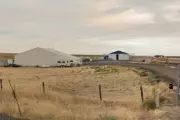 Skydiver, 70, Dies in Mid-Air Collision During Group Dive in Washington