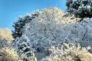 Snow Forecast for Three Australian States as Cold Front Descends