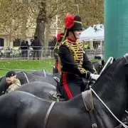 Soldier Dies After Fall at Royal Windsor Horse Show: Ciara Sullivan Named