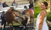 Stable Groom Hospitalised After Horse Kick at Redcar Racecourse
