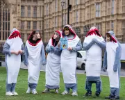 Student Loan Inquiry Reveals Massive Frustration Among Graduates