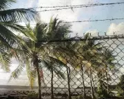 Survivor Challenges Albanese Over Nauru Deal Abuse Claims