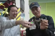 Taiwan Town Rocked by Earthquakes Turns to Snail Racing to Revive Tourism