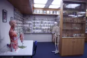 Tasmania Apologises for Retaining Autopsy Body Parts Without Consent