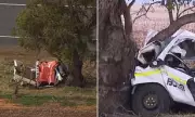 Teen Offender Dies, Two Others Critical After Stolen Ute Crash in Victoria