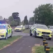 Teenage Boy Dies After Tree Falls on Him in Staffordshire