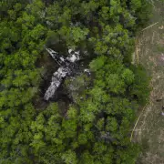 Texas Plane Crash Kills Five Pickleball Players in Hill Country