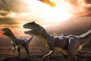 The Colossal Asteroid That Wiped Out Dinosaurs: A Timeline