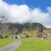 Third British National Contracts Hantavirus on World's Most Remote Island
