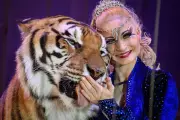 Tiger shot dead by German police after escaping and attacking keeper