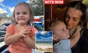 Toddler Dies After Running Into Beach Traffic in Florida Tragedy