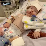 Toddler in Coma After Cake Dust Accident Shows Recovery Progress